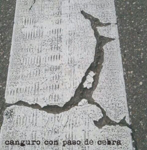 canguropaso cebra copia